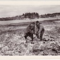 Floating island, Higley Pond, c.1942-43