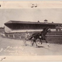 Trotting horse on track at Potsdam Fairgrounds