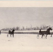 Trotting horses on snow-covered track at Potsdam Fairgrounds
