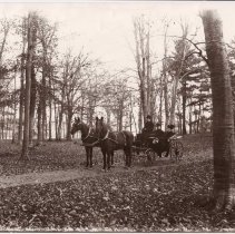 The Rev. & Mrs. Sherman, buggy on Clarkson Estate.