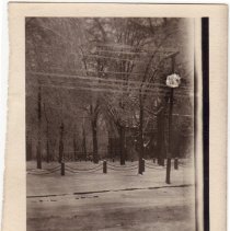 Potsdam Normal School, park in winter