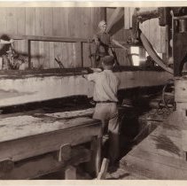 Sawmill at Elliott Hardwood