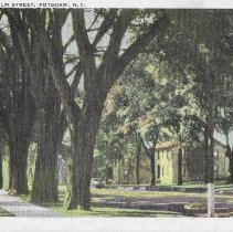 Elm St Elms N312-front