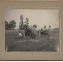 Unidentified Group Harvesting Oats