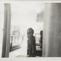 Potsdam Normal School Museum