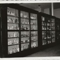 Potsdam Normal School Museum Burnap Collection