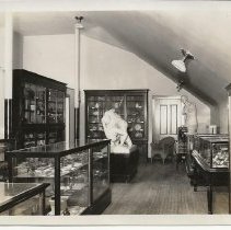 Potsdam Normal School Museum Permanent Collection