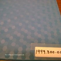 Daniel Allen and Mary Jordan