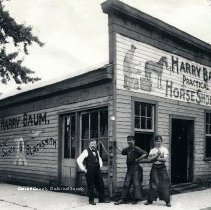 CD012_delphi scenes100013.jpg