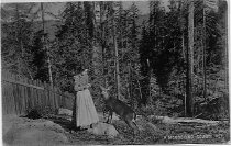 "A Mendocino Pet" [Woman w/ pet deer.]