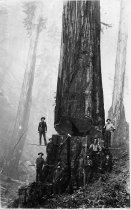 Falling Crew, Glen Blair (ca.1892)