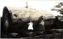 Woman & girl by big redwood log