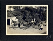 Near Melbourne, c.1900.