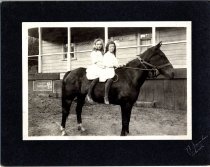 Mule Riders in Front of Dance Hall, Melburne.