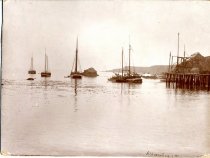 Schooners at Anchor in Albion Harbor.