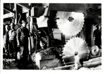 Interior view of double circular saw in Little River lumber mill.