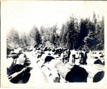 Logs at Big River "boom" are transferred onto rail cars to go to the mill.