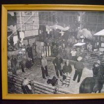 Inside Sale Barn South Alamosa