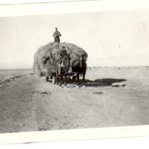 Hauling Hay