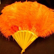 Ostrich Feather Fan