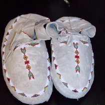 Moccasin