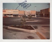 Black and white photograph of Kress store front and surrounding stores indi