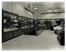 Black and white photograph of interior sales area stairs, taken in October
