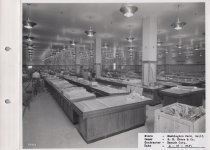 Black and white photograph of construction