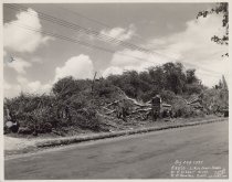 Exterior view of future Kress site