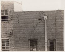 Black and white photograph of a building wall