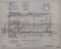 Longitudinal Section