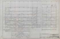 Longitudinal and Transverse Sections