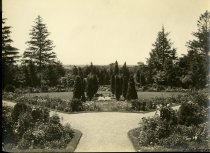 Princeton University