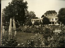 Moses Taylor Pyne Estate