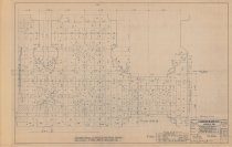 Shop|Art Stone Drawing