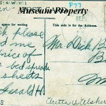 Back of postcard of buffalo in Basin.