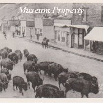 Buffalo herd in the streets of Basin, c1917.