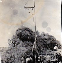 Pearl & Bevin Wertz with Alpha Bond in Boulder.