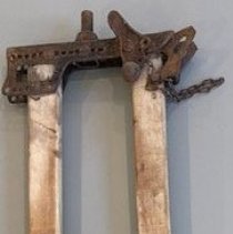 Stanchion used to restrain animal during milking.