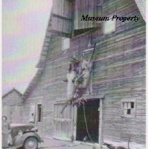 Elk hanging outside of a barn in Whitehall.