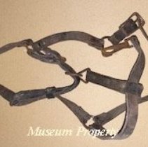 Horse halter used at Carlson Ranch.