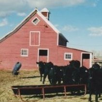Heidi barn in the Boulder Valley.