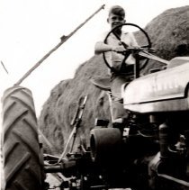 Douglas Marks on Farmall tractor getting the hay in.