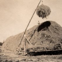Getting the hay in at the Marks Ranch.