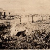 Woman and toddler with dog at Marks Ranch.