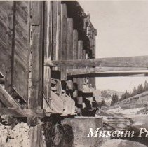 Horse and tram car at ore bin at Comet Mine.