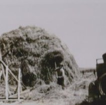 Hay stacking at Haab Ranch in Clancy.