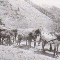 Stagecoach near Last Chance Gulch.