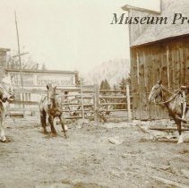 John McEachern and Bill Craun roping a horse.