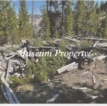 Cassel's Homestead House Fallen In